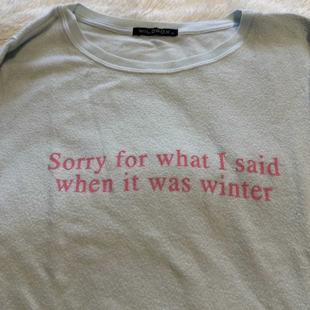 Wildfox blue “Sorry for what I said when it was winter” sweatshirt top M - Picture 3 of 9